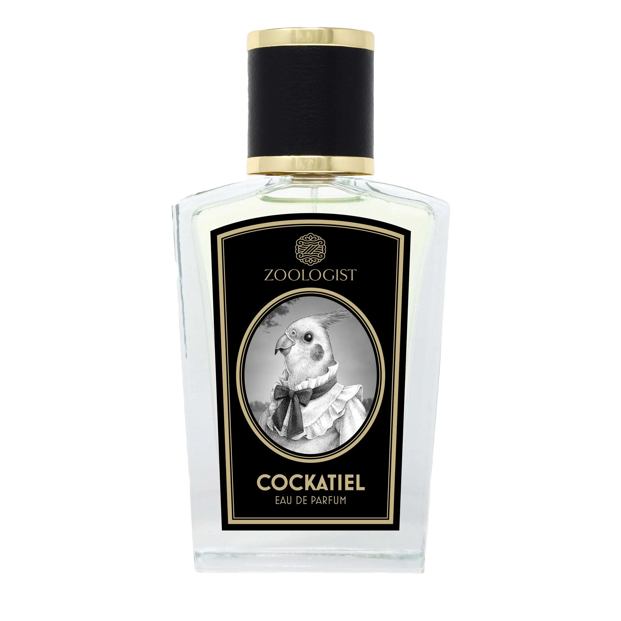 Image of parfume, Bartók-negyed illatai
